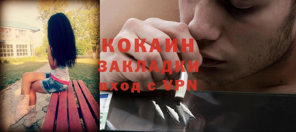 ешки Няндома
