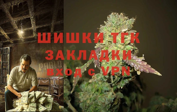 ешки Няндома