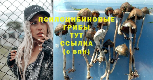 ешки Няндома