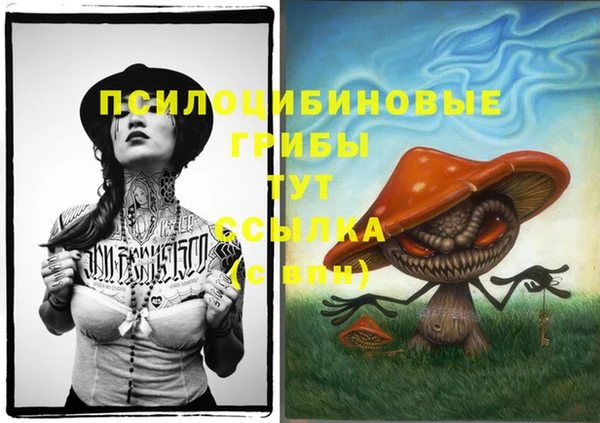 apvp Нязепетровск