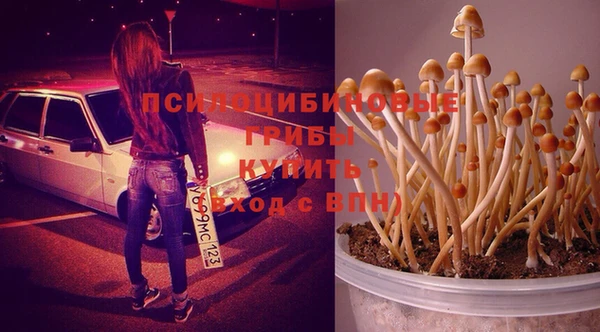 ешки Няндома