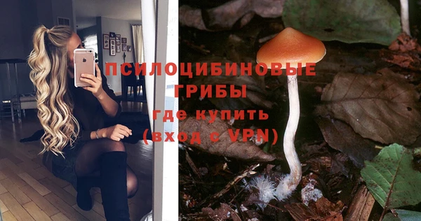 кокс Нягань