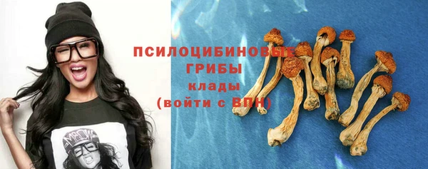 ешки Няндома