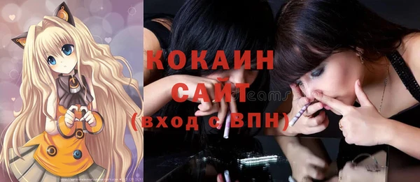 ешки Няндома
