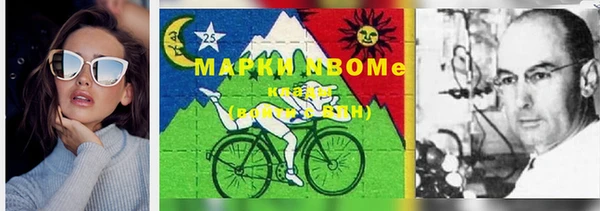 ешки Няндома