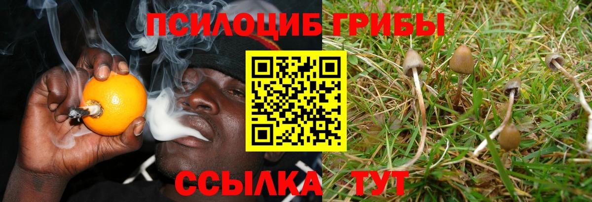 Галлюциногенные грибы GOLDEN TEACHER Асино