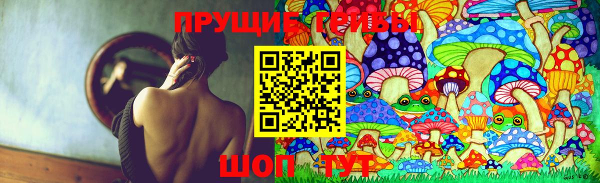 Галлюциногенные грибы GOLDEN TEACHER  Вход с VPN  Псилоцибиновые грибы мухоморы  Асино 