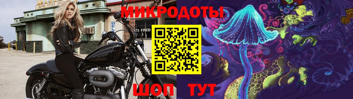 Псилоцибиновые грибы мухоморы Асино